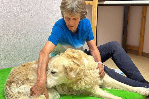 nicole_bowen_neu.jpg nicole_bowen_neu.jpg