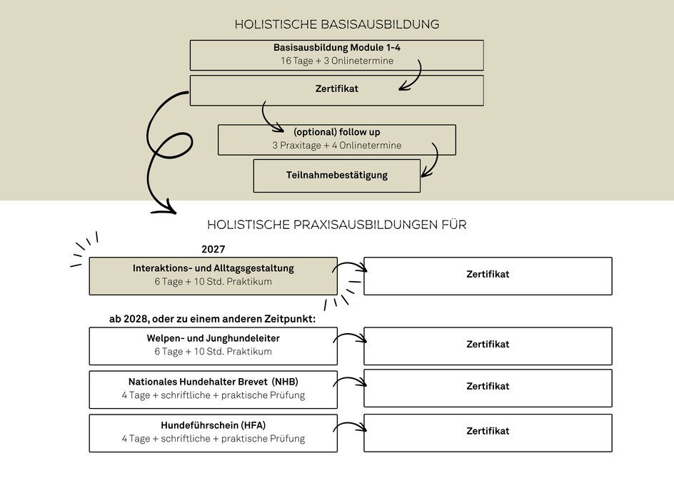 basisausbildung_module_1-4_16_tage__3_onlinetermine.png basisausbildung_module_1-4_16_tage__3_onlinetermine.png