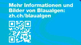 blaualgen_info2.jpg blaualgen_info2.jpg